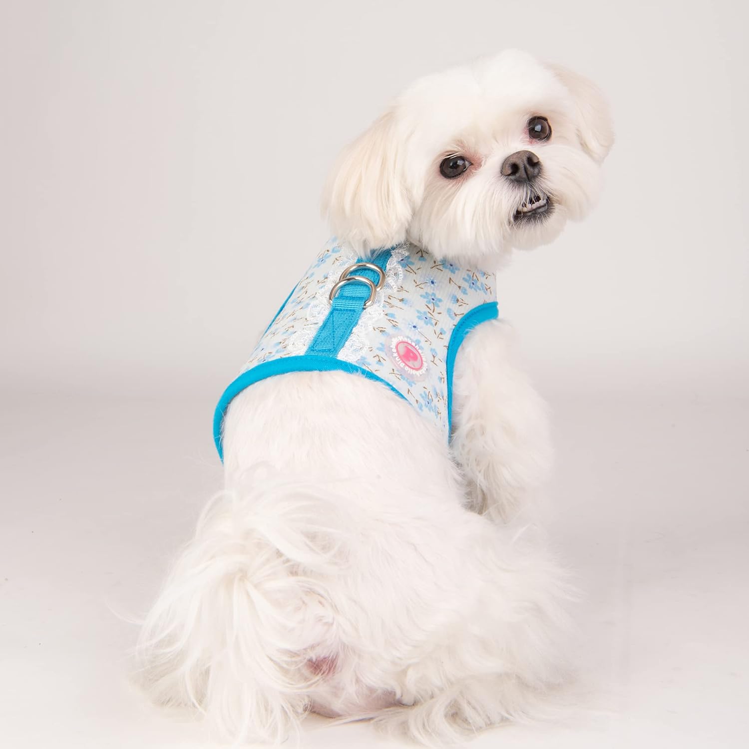 Lobelia PINKA Harness - Sky Blue - L