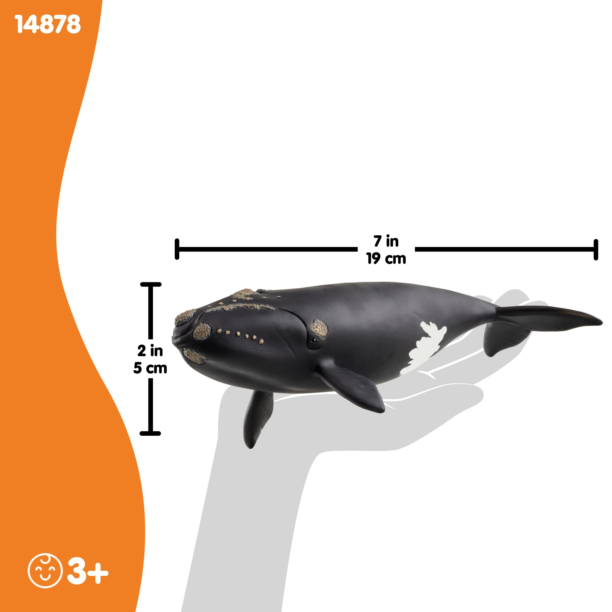 Amazon.com: schleich Wild Life - 7” North Atlantic Right Whale Toy