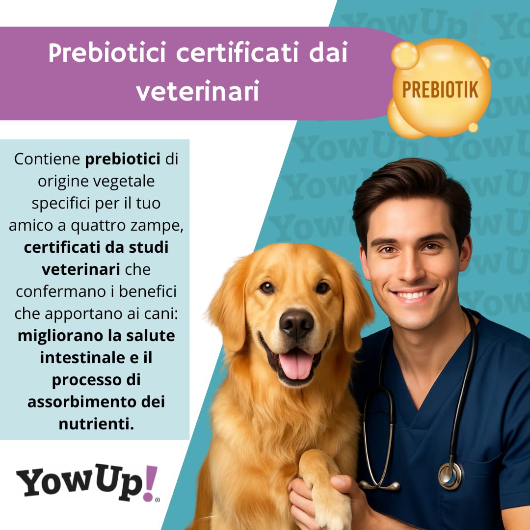Yogur para Perro YowUp! con Prebióticos | Snack Funcional Saludable | Sin Lactosa, Bajo en Grasa | Pack 10x115g | Chuches Naturales Digestivas