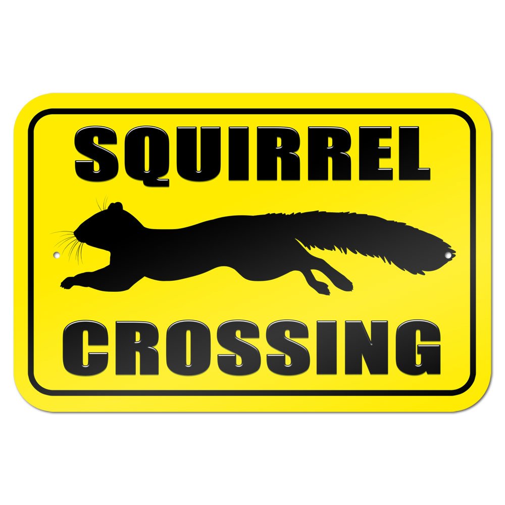 Squirrel Crossing 9" x 6" Metal Sign