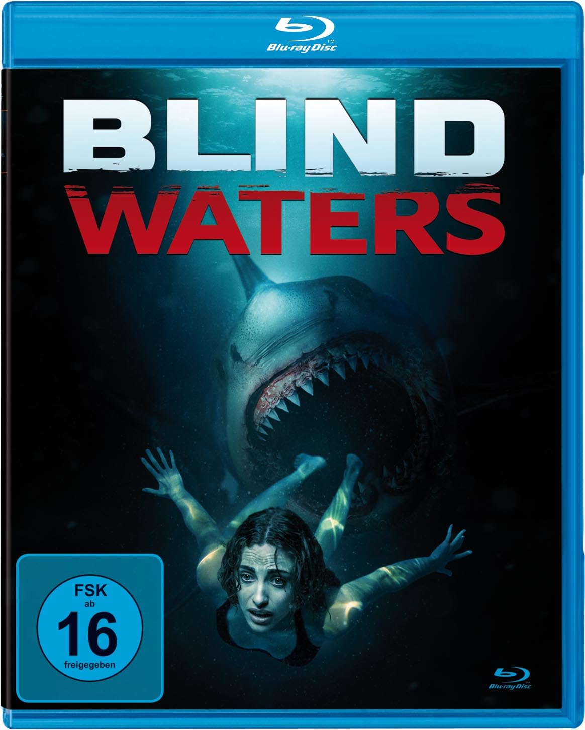 Blind Waters (2023) Dual Audio [Hindi ORG-English] BluRay H264 AAC 1080p 720p 480p ESub