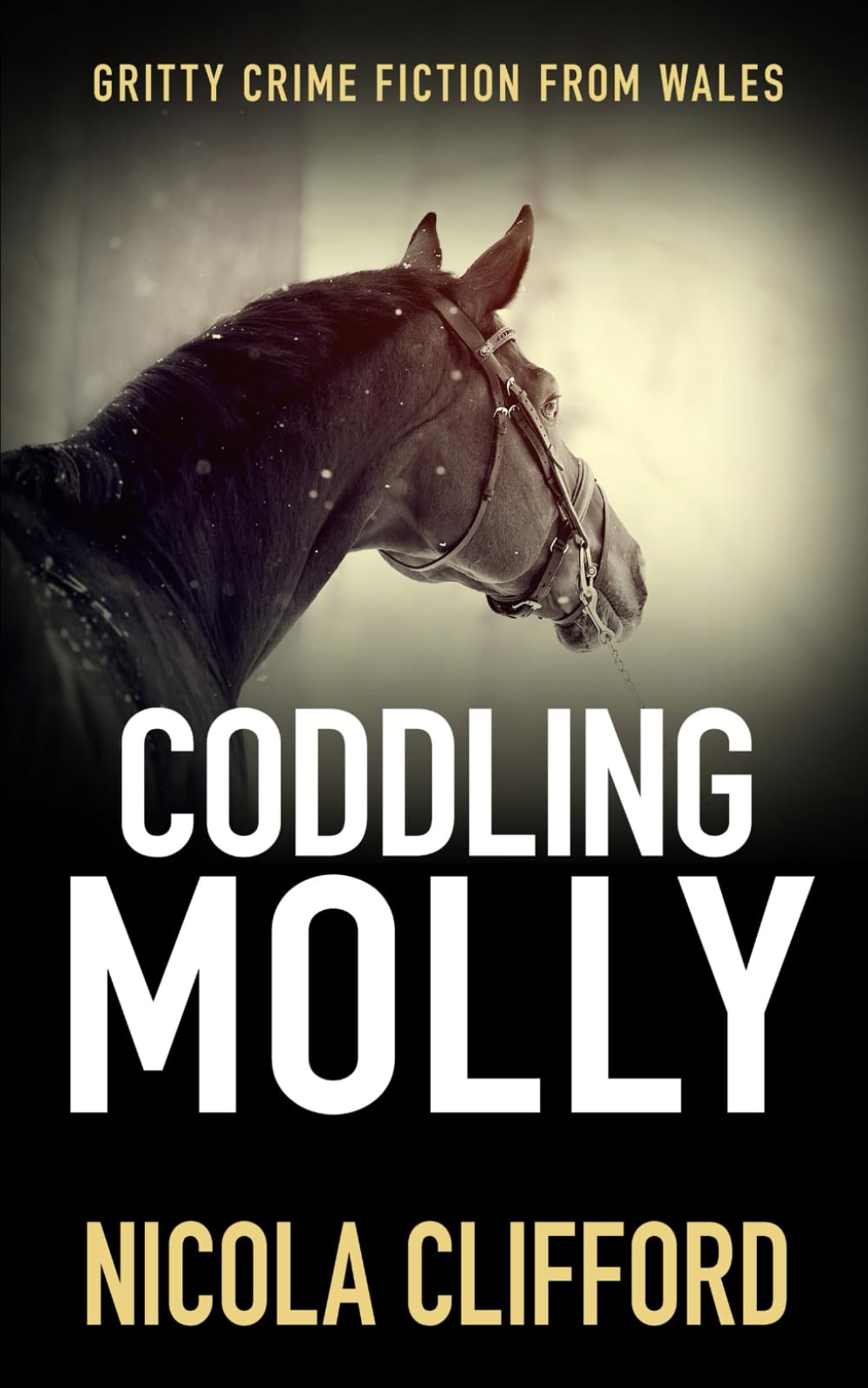 Coddling Molly: Gritty crime fiction from Wales (The Welsh crime mysteries)