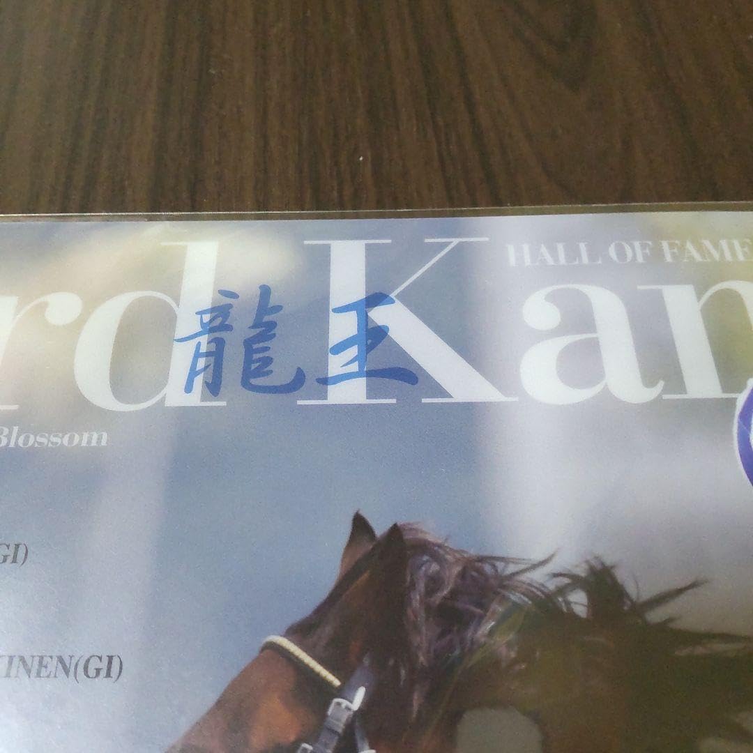◆　競馬　JRA　◆ロードカナロア◆ネックストラップパスケース　ピンバッジ◆龍王 Amazon.co.jp: ロードカナロアクリアファイルネックストラップ付きパス