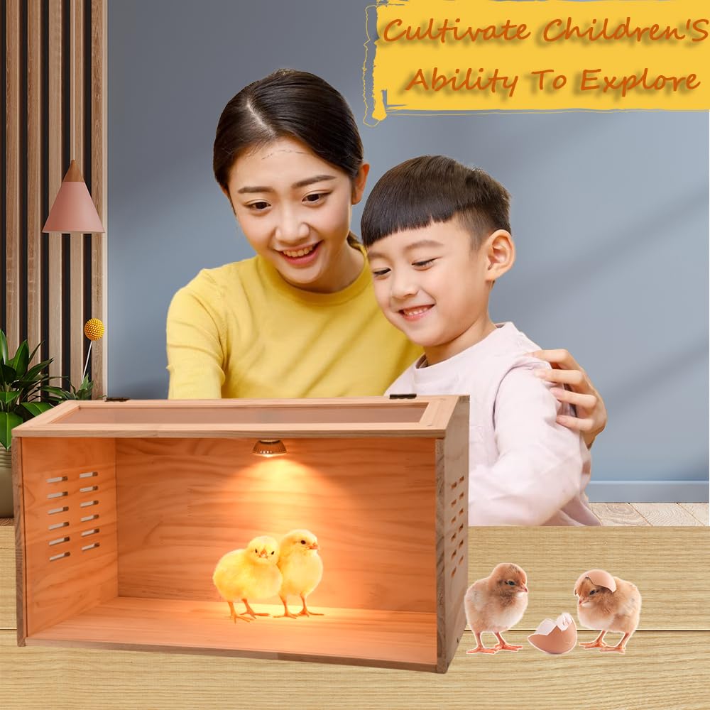 Brooder Box for Chicks,5-12 Chicken Brooder Heater, Chicken Brooders for Baby Chicks with Heaters Poultry Heater for Chicks Ducks Quail Birds
