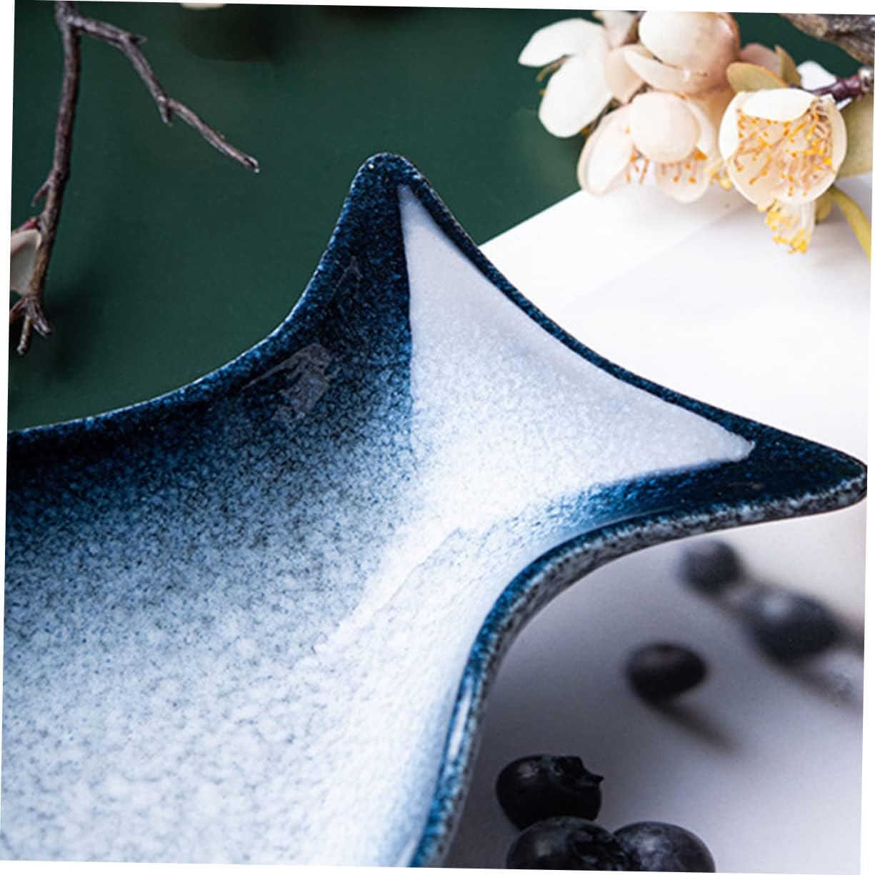 Amosfun Ceramic Steaming Plate in Fish Shape Innovative Fish Steamer for Serving for Home and Restaurant