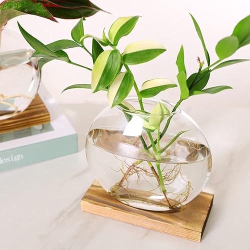 Miniatura 4 de Maceta redonda de vidrio para escritorio, florero de terrario con soporte de madera para propagar plantas hidropónicas, decoración del hogar,