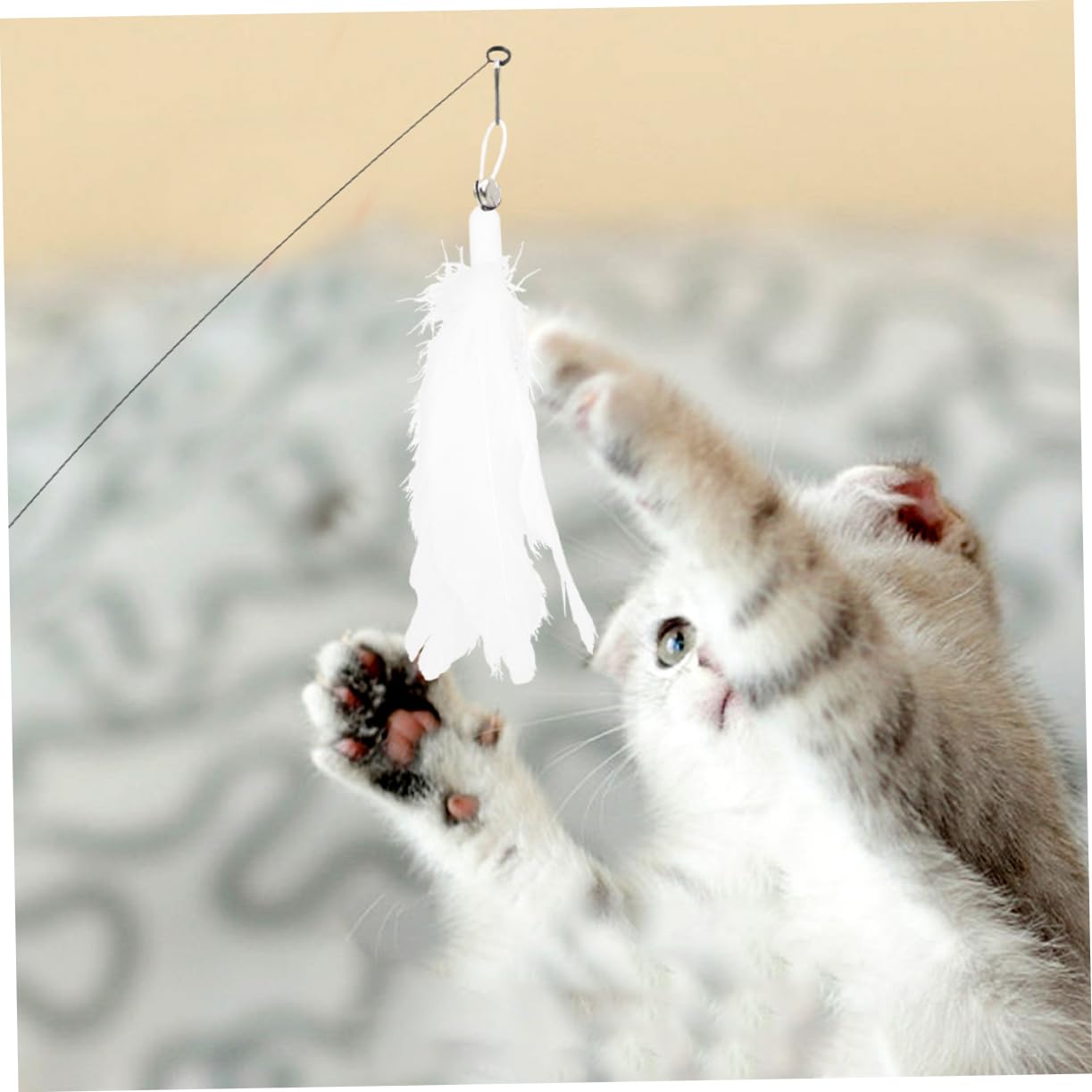 VANZACK 5sets Giocattoli Interattivi Per Gatti Con Piume e Ventose Di Cannette Teasing Per Gioco e Rafforzare Con Tuo Felino
