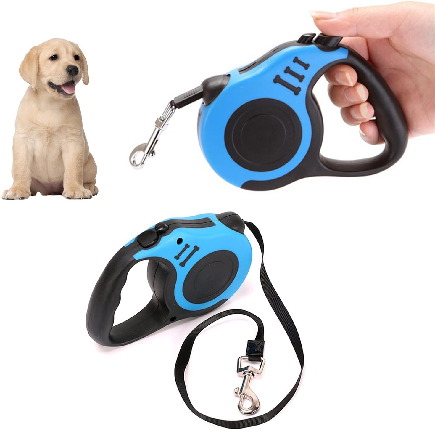 extended dog lead