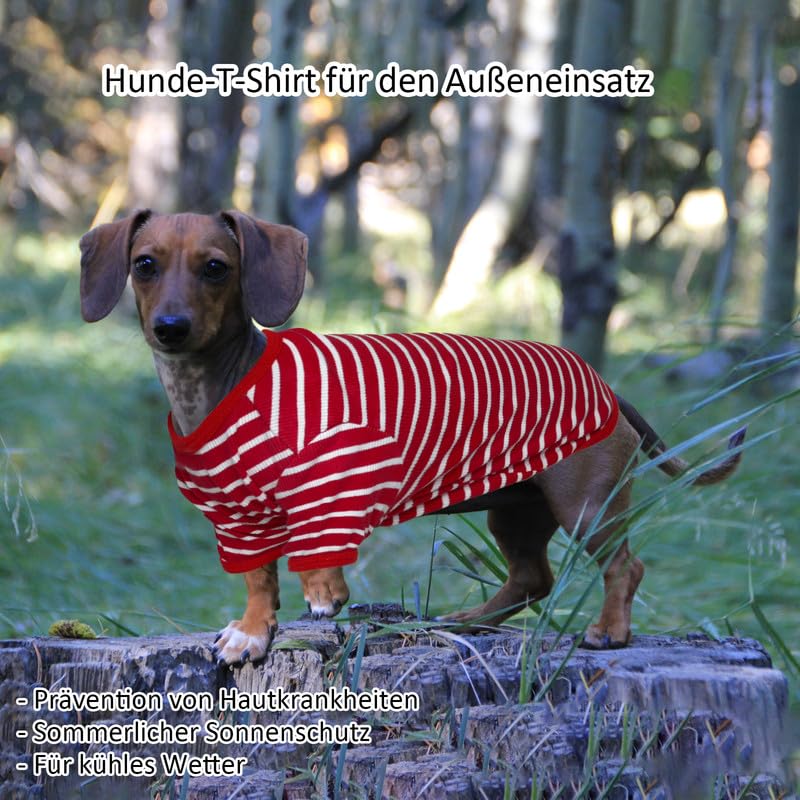 PetSmiler Hundepullover - Dünner Hundepullover Kleine Hunde Gestreifter Hundeshirts für Kleine Hund Katzen Shirt, Dehnbarer Pullover Hund Hundepulli Chihuahua Französische Bulldogge (Rot M)
