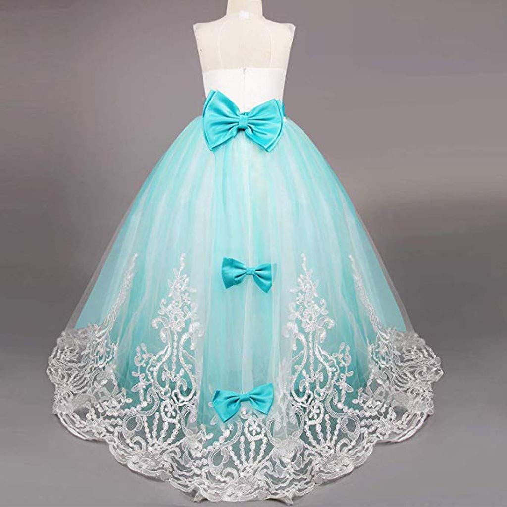 Birthday Dress for Girls Wedding Lace Princess Tulle Dress Flower Pageant Gown Fit and Flare Wearproof Outfits : Clothing, Shoes & Jewelry
