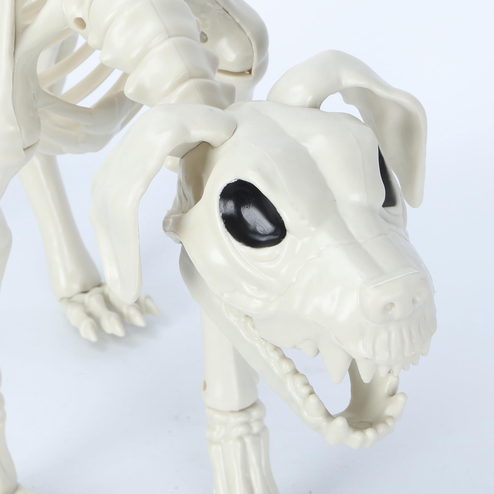 XIMISHOP Halloween Skelett-Set – 90 Cm Mensch & 50 Cm Hund, Mit Beweglichen Gelenken | Gruseldekoration Für Haus & Garten