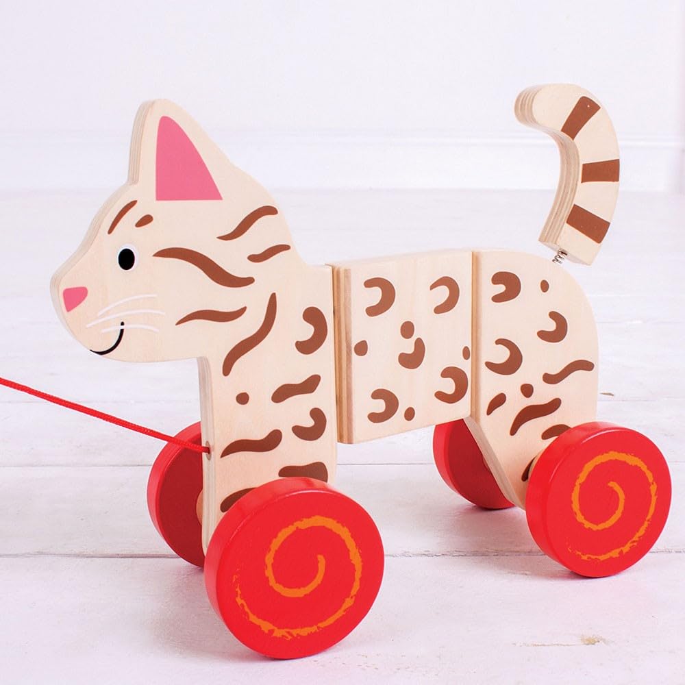 Bigjigs Jouets à traîner (Chat)