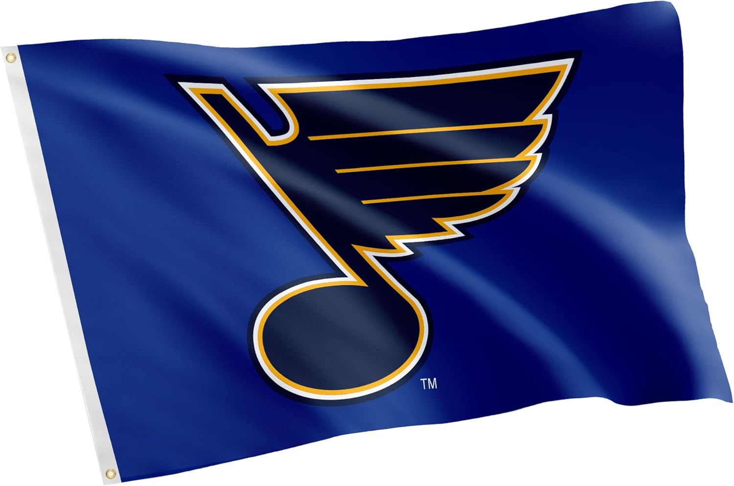 Desert Cactus St. Louis Blues Flag NHL 100% Polyester Indoor Outdoor 3x5 feet National Hockey League Team Flags (Design #1)