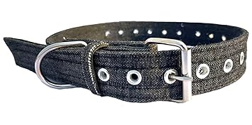 Forever99 Pet Shop Fabric Dog Collar Neck Belt for Medium Dogs (Blue)