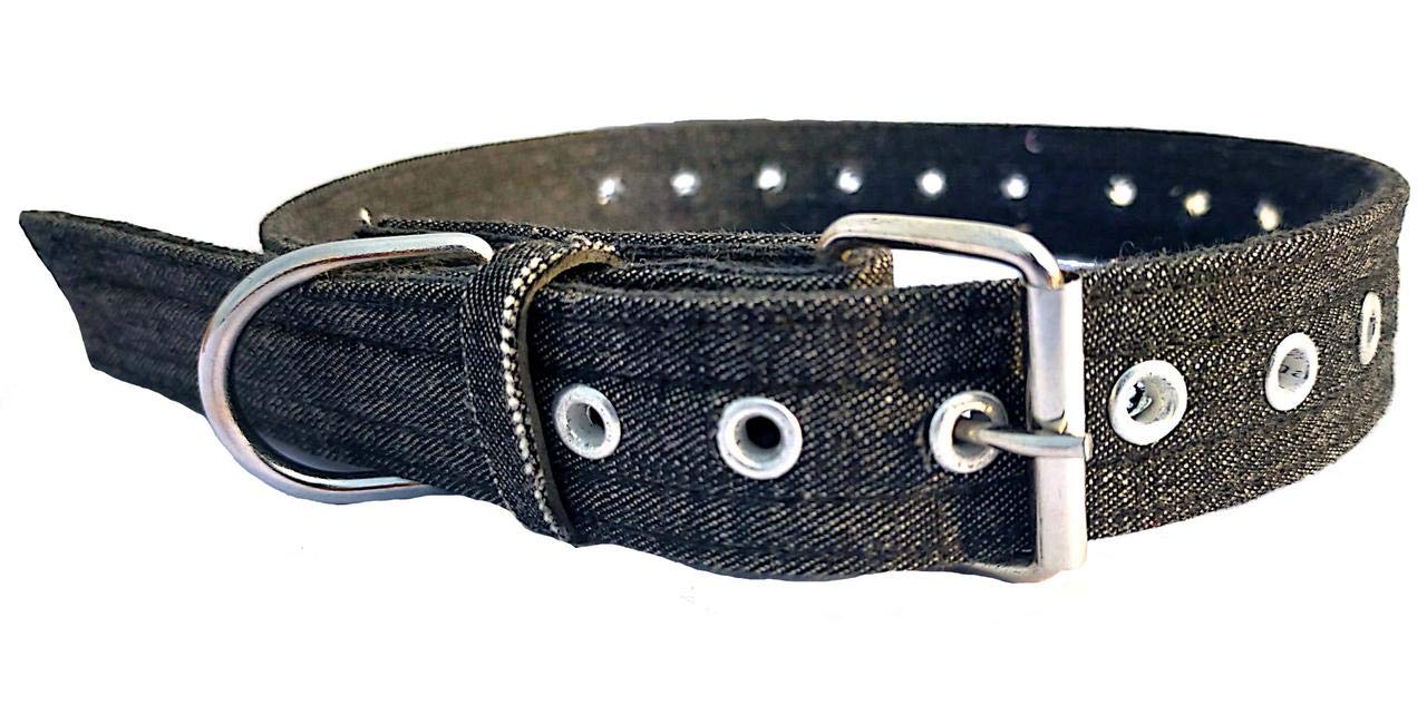 Forever99 Pet Shop Fabric Dog Collar Neck Belt for Medium Dogs (Blue) (B082BGYY41) Amazon Price History, Amazon Price Tracker