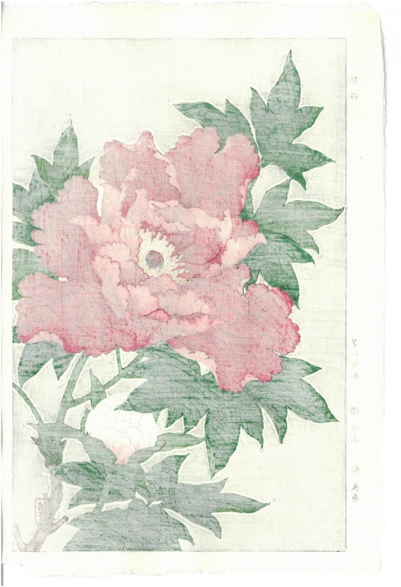 えびプリ　河原崎将堂の昭和25年の初期の花版画「牡丹」初期の刷りは貴重です えびプリ 河原崎将堂の昭和25年の初期の花版画「牡丹」初期