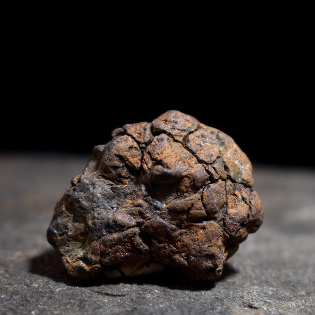 UKCOCO Real Meteorite Space Rock Meteorite Science Collection Lithosiderite Ornament with Box for Lab Box Color