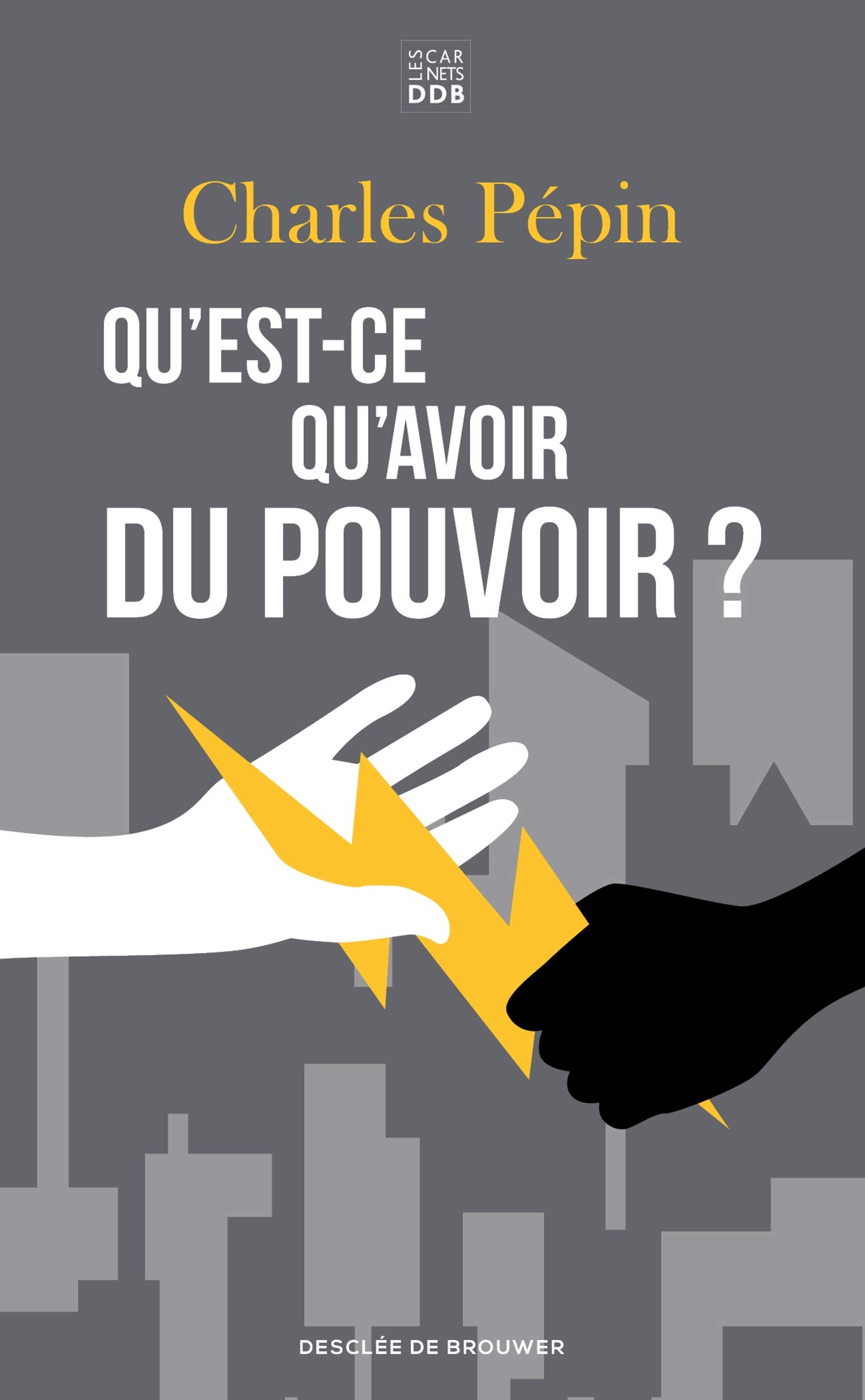 Qu'Est-Ce Qu'Avoir Du Pouvoir ? (Carnets Ddb)