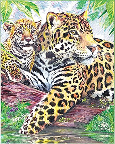 Royal And Langnickel Colour By Number Pencil, Jaguar By Pool #TOP1