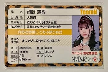 Amazon.co.jp: NMB48 貞野遥香 免許証風カード BV6X : おもちゃ
