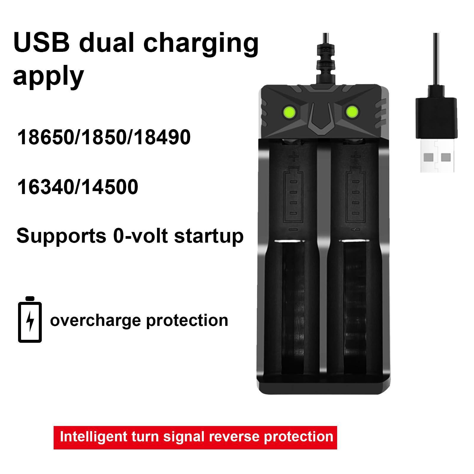 20V (40VFUEL) Lithum-ion Dual-Port Rapid Charger