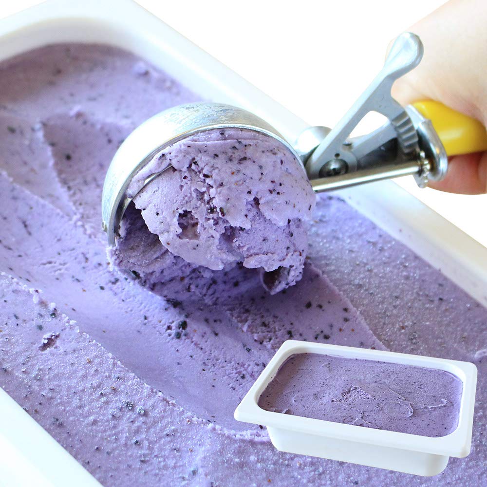 北国からの贈り物 アイスクリーム 業務用 ブルーベリー 北海道 くりーむ童話 手づくり アイス