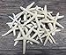 Starfish Decor - Star Fish for Craft - 15pk Uniquely Shaped 2-5