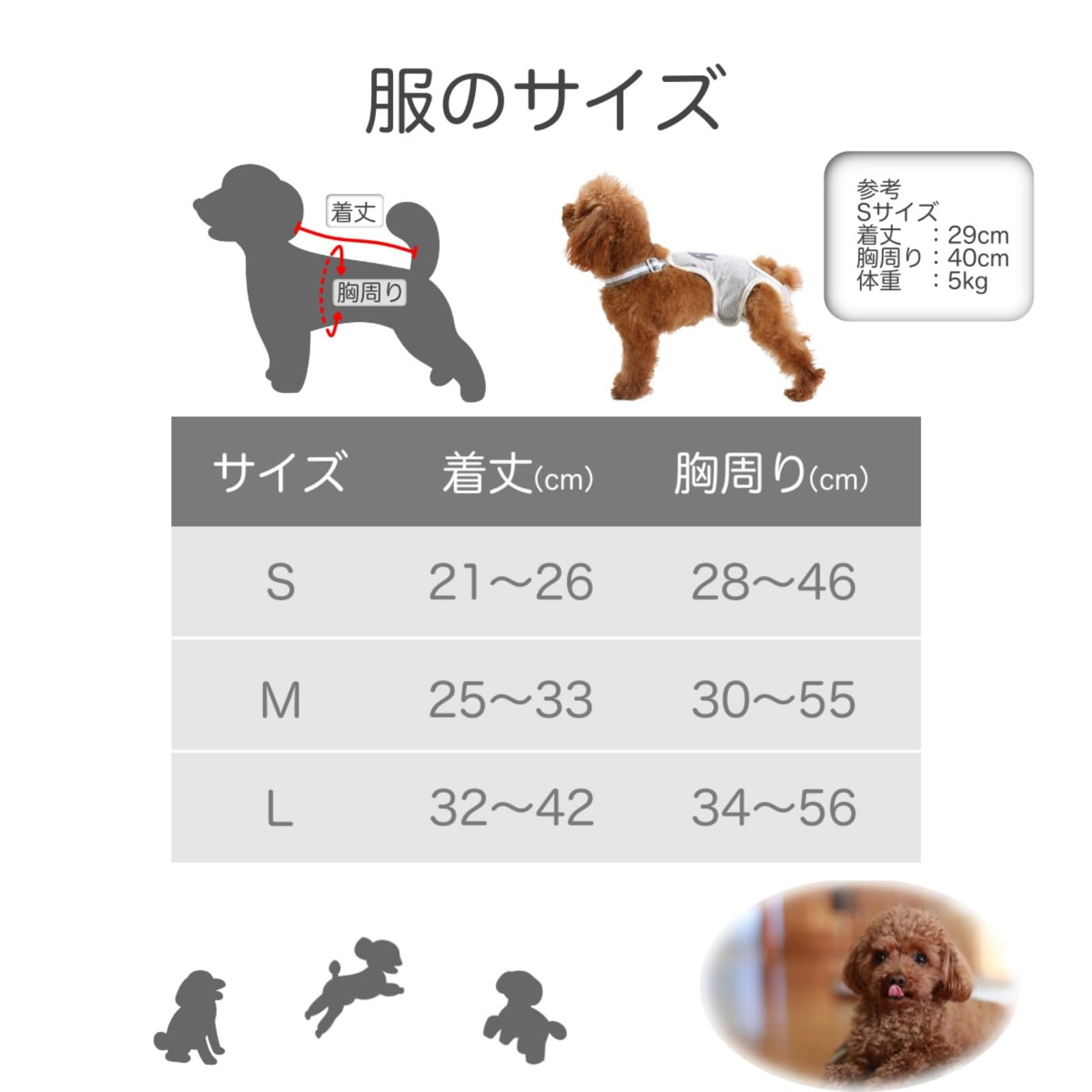 マナーベルト について♡ 楽天市場】Mベルト XS～L マナーベルト マナーウエア 男の子