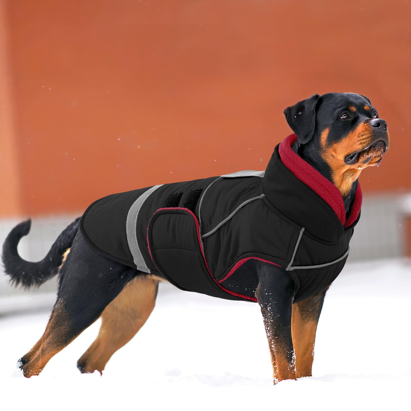 CITÉTOILE Manteau pour Chien Imperméable et Coupe-Vent - Veste Hiver Chaude Réfléchissante - Manteau Chien avec Col en Fausse Fourrure & Ouverture Harnais Noir M