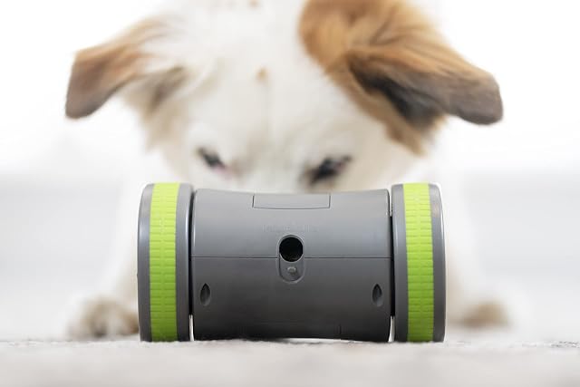 Foto 3 de 8 de PetSafe Kibble Chase - Dispensador de Comida y Golosinas para Perros, Juguete Interactivo Inteligente…