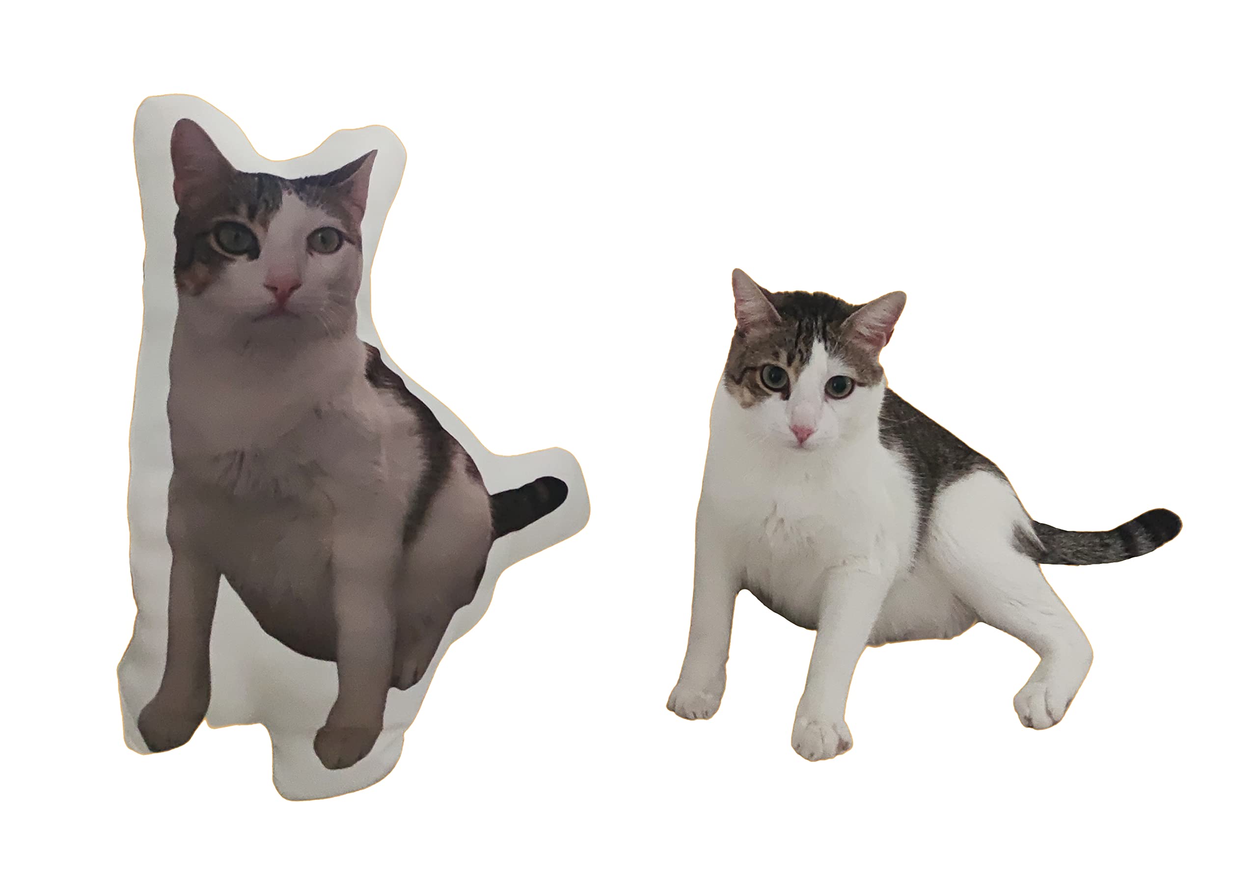 LolaPix Cojines Personalizados. Cojines con Forma. Peluche Personalizado con Foto. Almohada 3D. con Relleno. Varios Tamaños