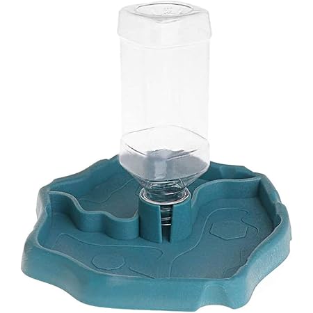 automatic chameleon feeder