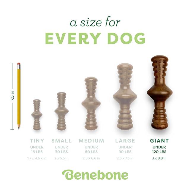 Foto 4 de 6 de Benebone Zaggler - Juguete masticable Indestructible para Perros masticadores agresivos, rompe…
