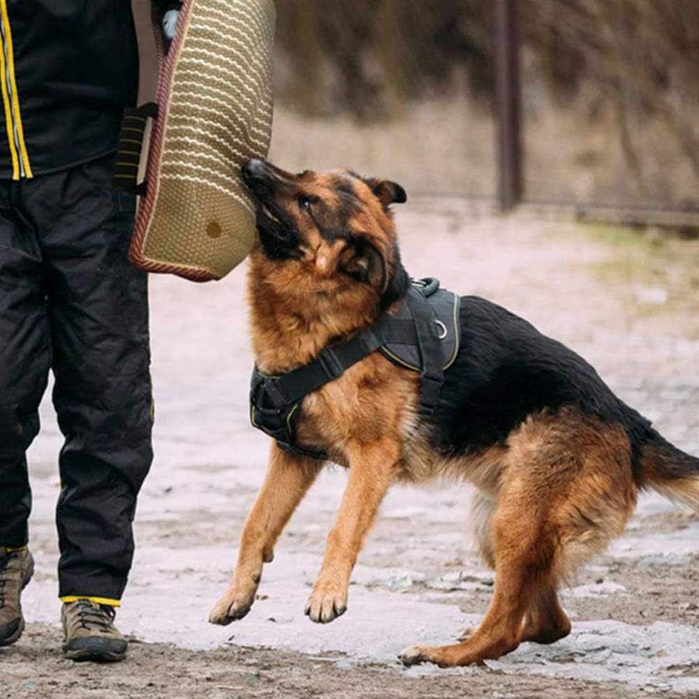 Dog Bite Training Set, Professional Puppy Bite Sleeves Tug Arm Sleeve with Whip Agitation Stick for Young Dogs Bite Training,Full Arm Protection Biting Sleeve for Pitbull German Shepherd