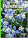 Perennials