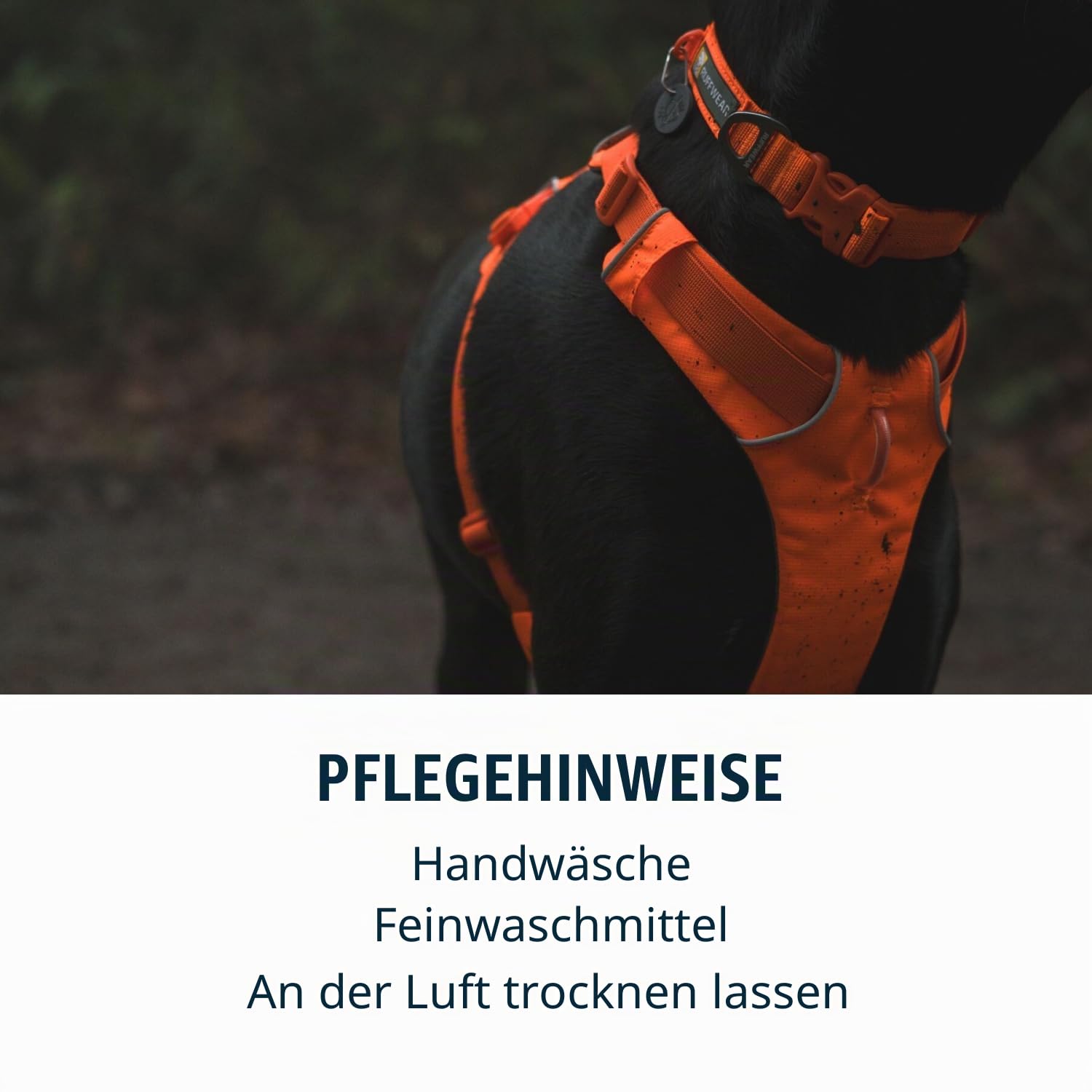 Ruffwear Front Range-Halsband, Hundehalsband mit V-Ring, längenverstellbares Haustier-Hundehalsband, bequemer weicher Stoff, Haustierhalsband mit Hundeleinen-Befestigungsring, Blaze Orange