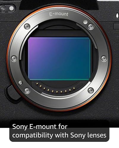 Amazon.com : Sony Alpha 7R V Full-frame Mirrorless Camera