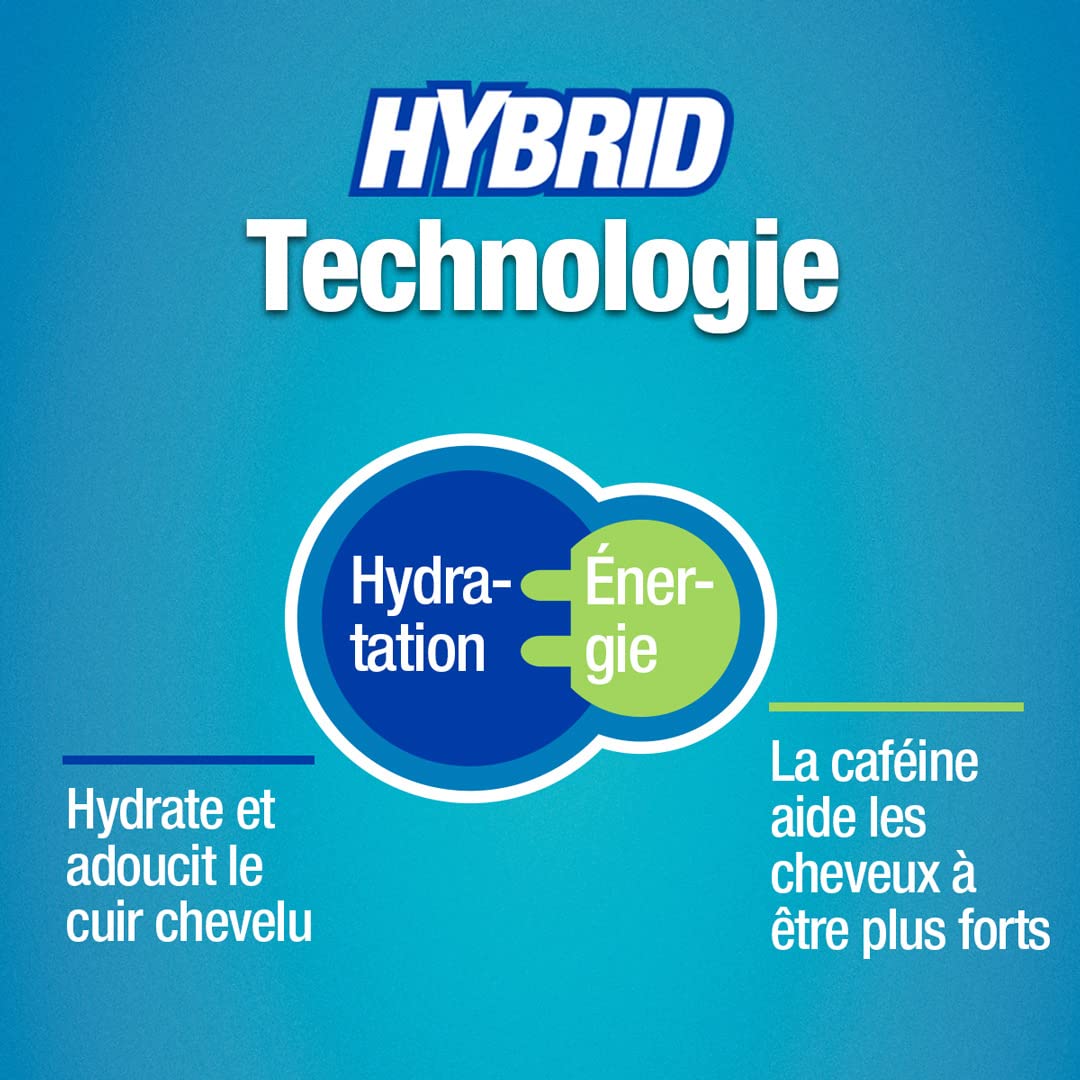 Alpecin Shampooing Hybride à la Caféine 3x250ml | Antipelliculaire | Contre les cheveux secs | Shampooing Homme | Traitement anti-calvitie