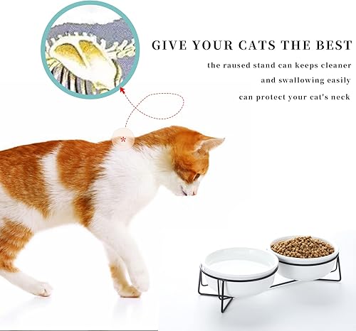 Miniatura 3 de GDCZ Ceramics - Cuencos elevados para perros pequeños con soporte de metal para alimentos y platos de agua para mascotas, 15 onzas (blanco)