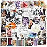 Throne of Glass Stickers 50pcs Book Stickers Water Bottle Stickers for Kids Teens, Cute Vinyl Waterproof Laptop Skateboard Stickers, Aesthetic Car Decals Computer Hydroflask Stickers for Adults Teens