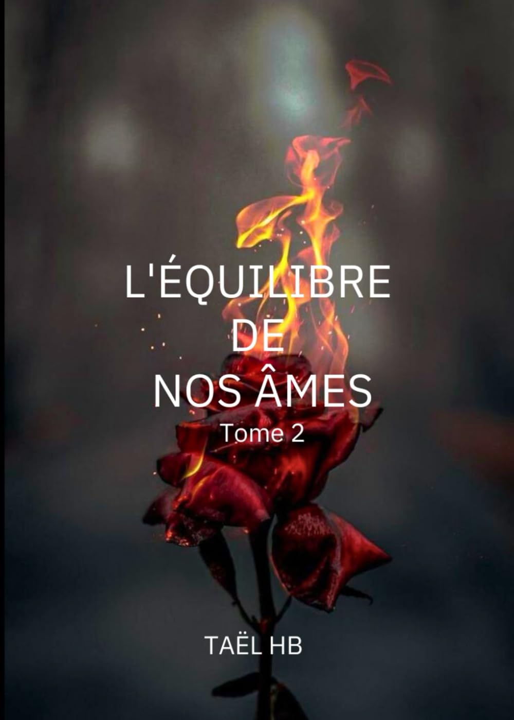 L'équilibres de nos âmes: Tome 2