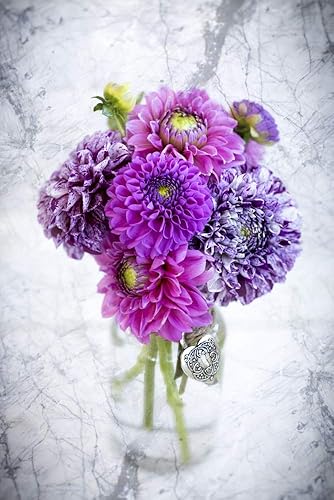 Posterazzi DPI12513675 Dalia morada dispuesta en un frasco de vidrio sobre una impresión fotográfica de encimera de mármol, 12 x 19, multicolor