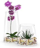 Vista 4 de ZENFUN Piedras de 6 libras para plantas de interior, grava de guisantes de 3/8 pulgadas para pecera, rocas decorativas pulidas para suculentas