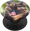 Cute Tortoiseshell Cat Tongue Out Meme Gift For Cat Lovers PopSockets Grip and Stand for Phones and Tablets