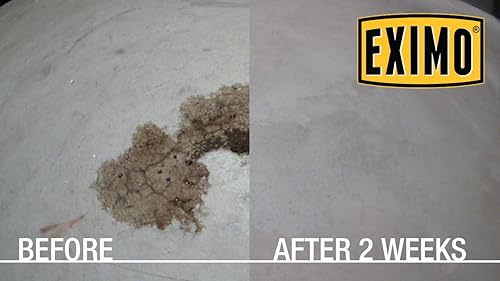 Miniatura 5 de CAF Outdoor Cleaning EXIMO® Waterless Concrete Cleaner for Driveway, Garage, Basement, and Walkway Surfaces (0.75lbs)