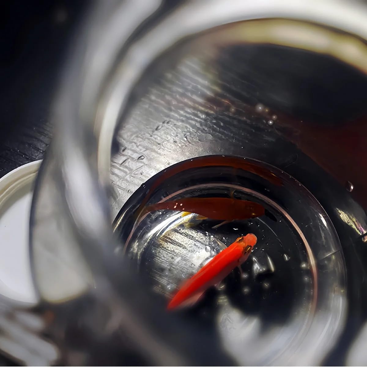 SUMAG Mirage Bottle Magic Tricks Small Objects Appearing in Empty Bottle Goldfish Coins Production Close-up Illusions Gimmicks