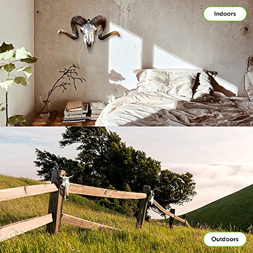 MASANI European Mount Skull Hanger - 3 Pack - for Deer, Mule, Buffalo, Coyote, Small Game Animals -