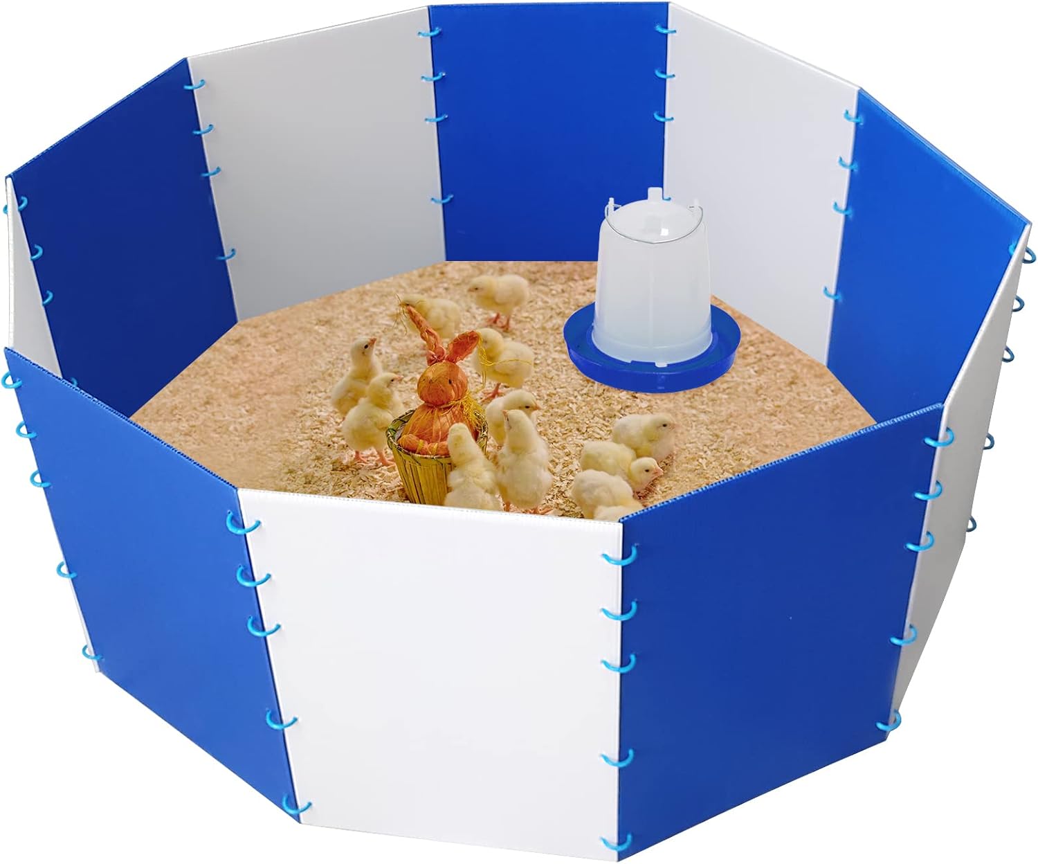 Baby Chick Starter Home Kit Chicken Brooder Start Kit