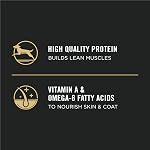 Purina Pro Plan Nourriture Sèche pour Chiots, Développement Agneau & Riz - Sac de 15,4 kg (1 paquet)