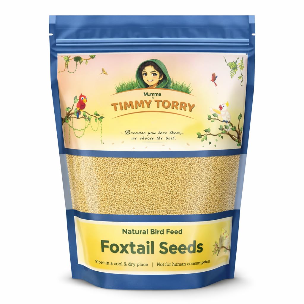 800g Premium Foxtail Seeds Natural Bird Feed for Budgies, Cockatiels, Lovebirds, Finches | Mumma & Timmy Torry-image-1
